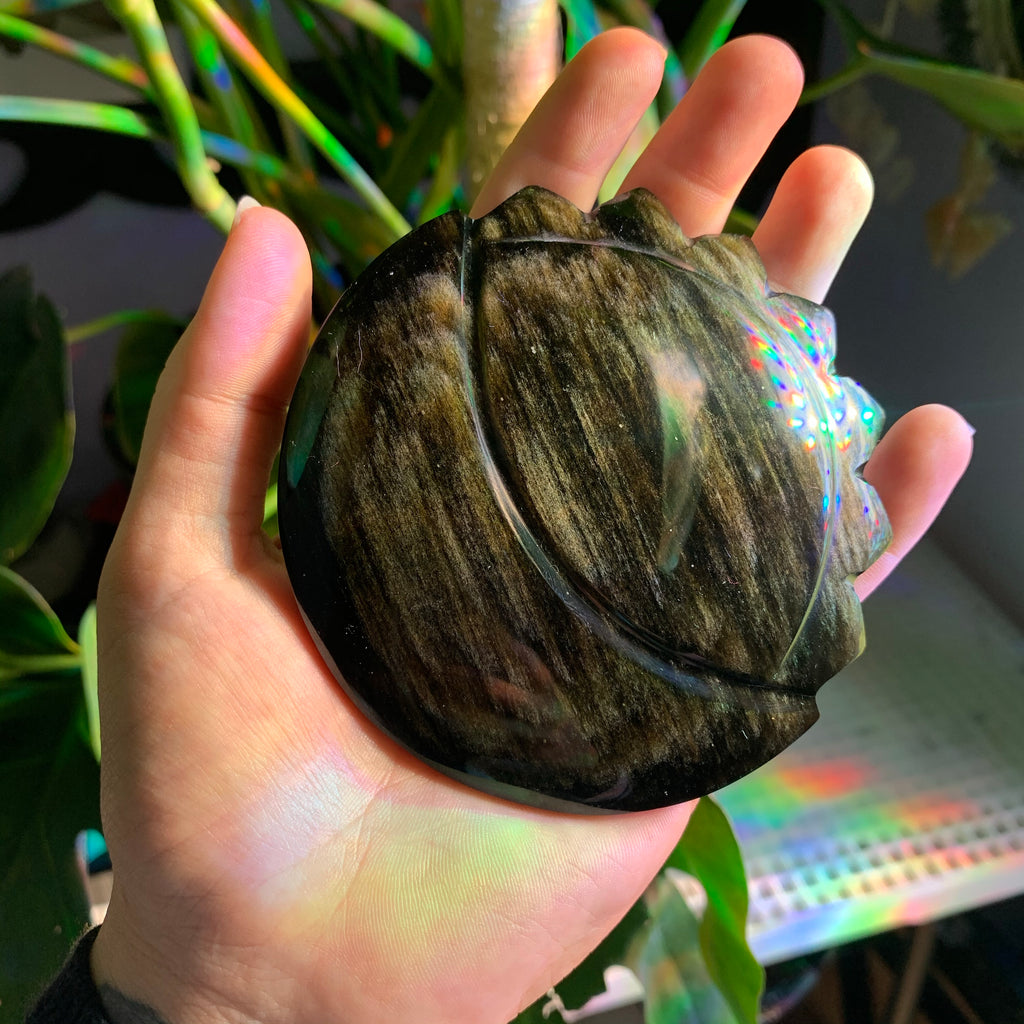 Sun and Moon Golden Sheen Obsidian