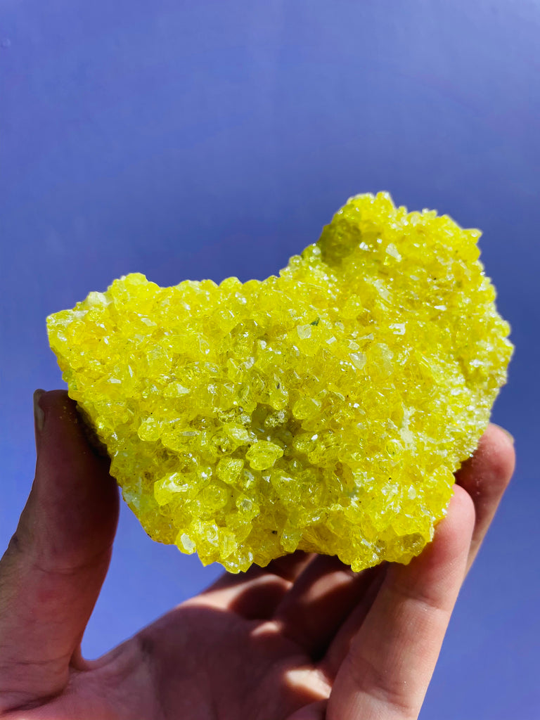 Sulfer Specimen no.4
