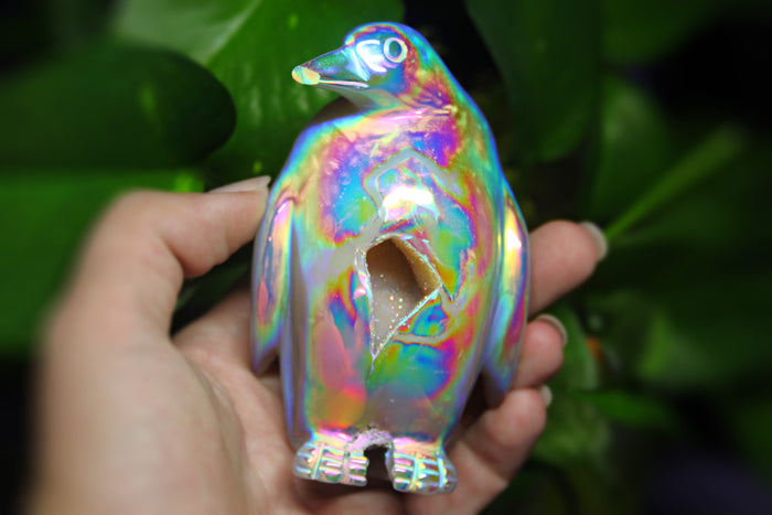 Aura Chalcedony Penguin no.1