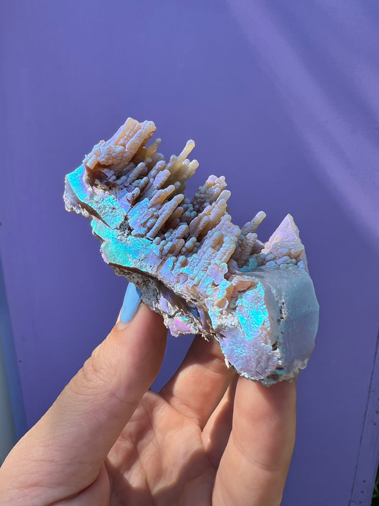 Aura FossilizedCoral City