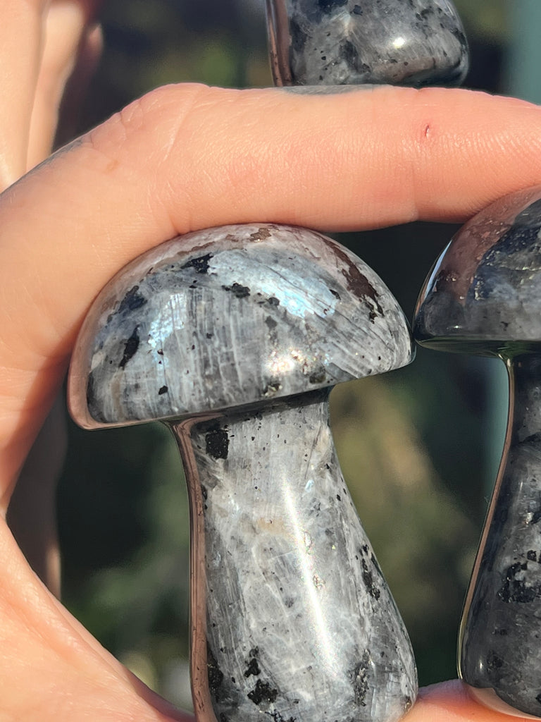 Larvikite mushroom carving