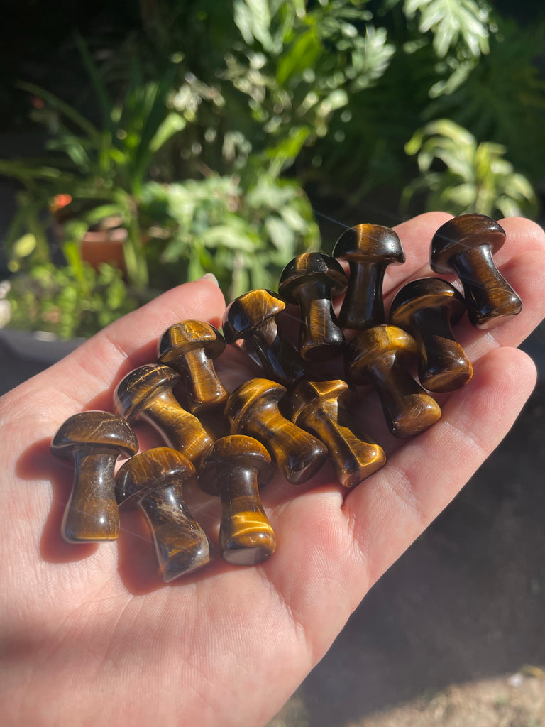 Tigers eye Mini Mushroom