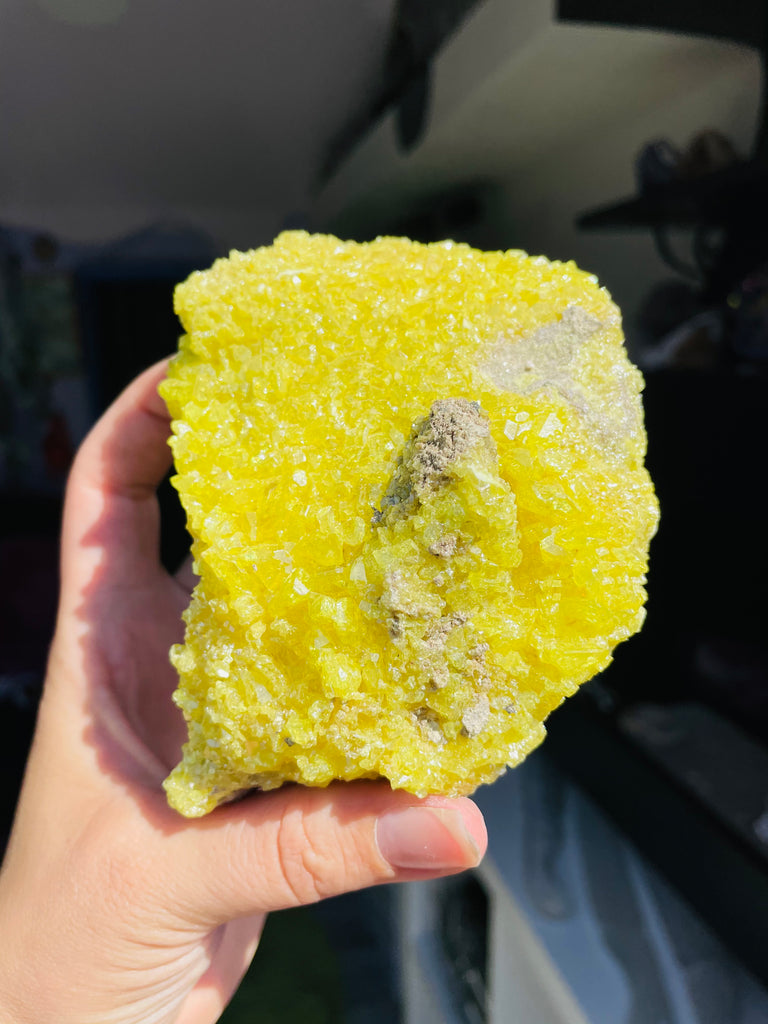 Sulfer Specimen no.6