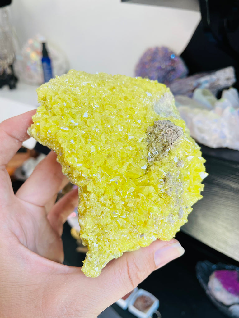 Sulfer Specimen no.6