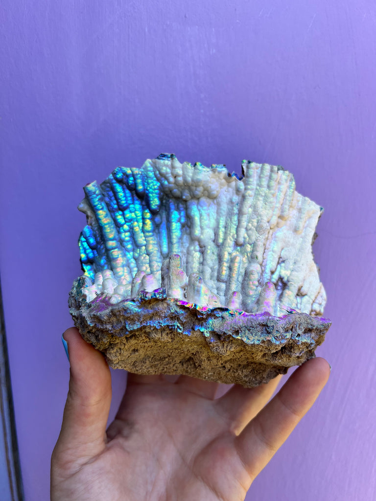 Aura FossilizedCoral no.1