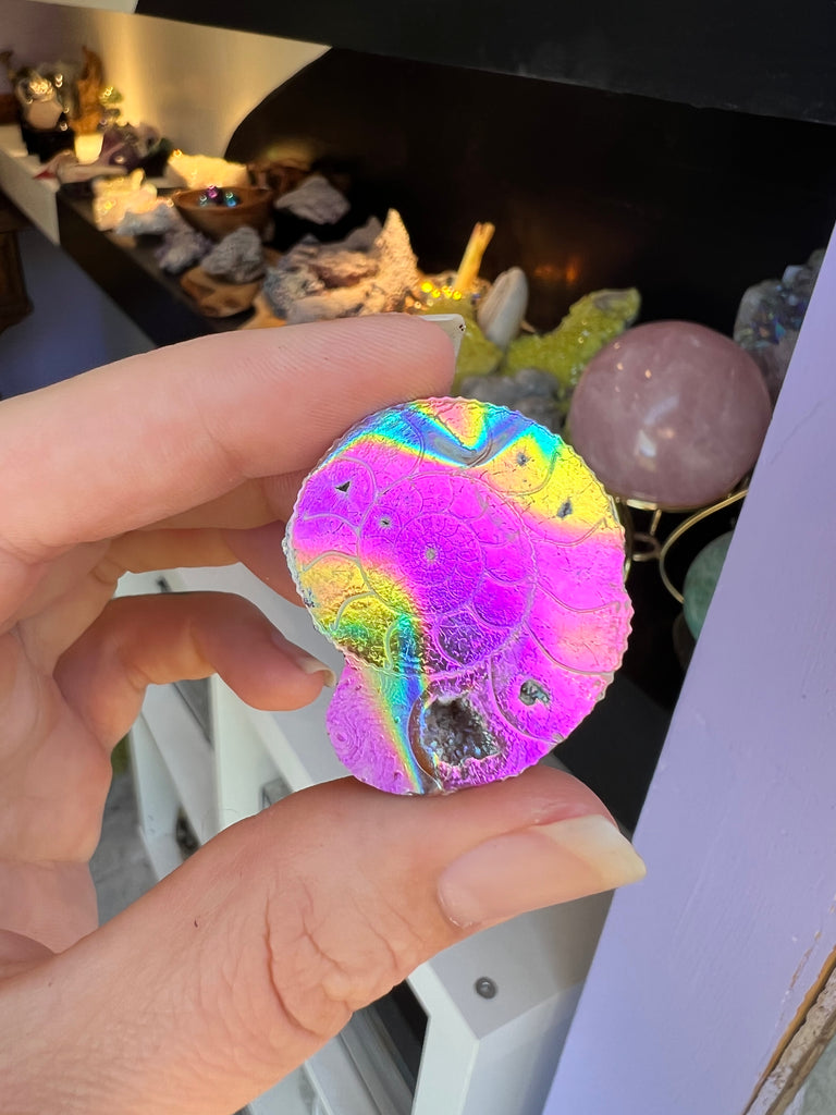 Aura Ammonite no.3