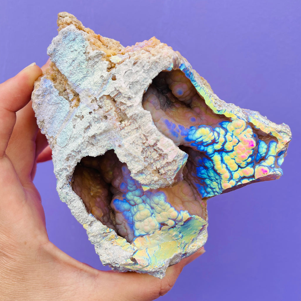 Rare Aura Agatized Coral double chamber