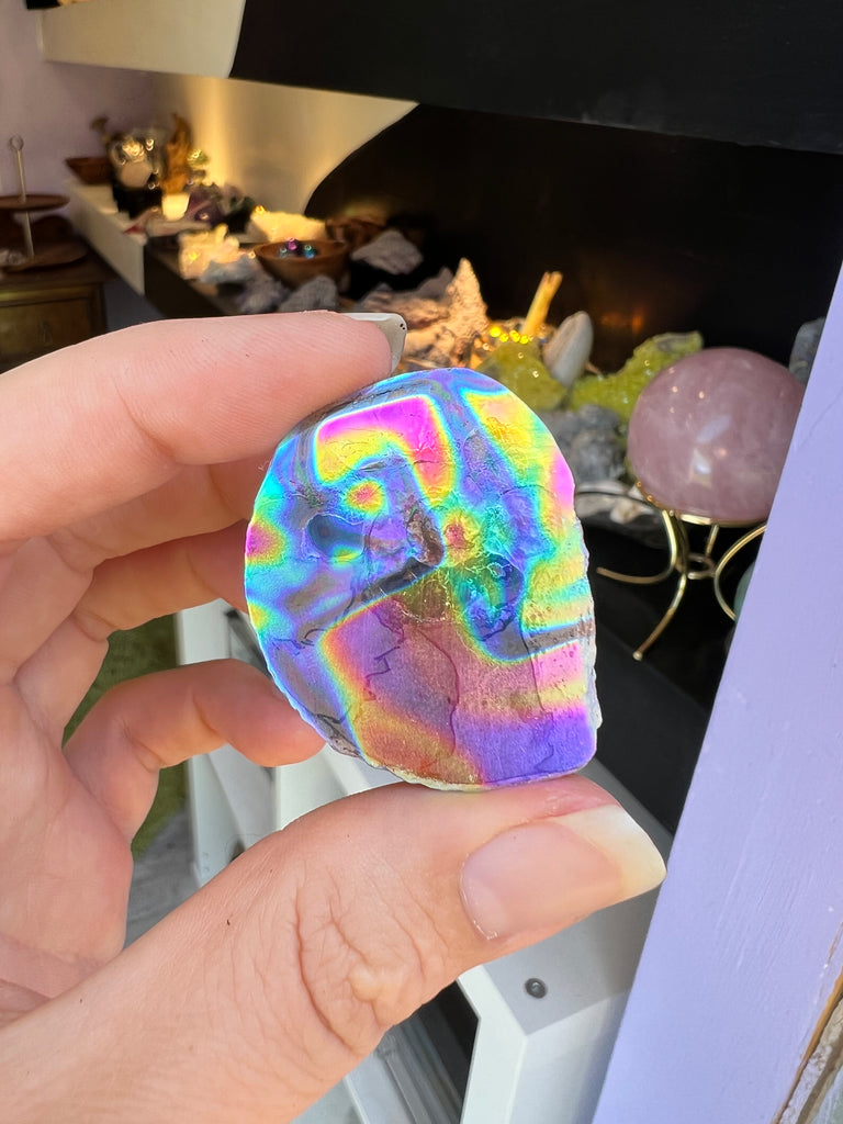 Aura Ammonite no.2