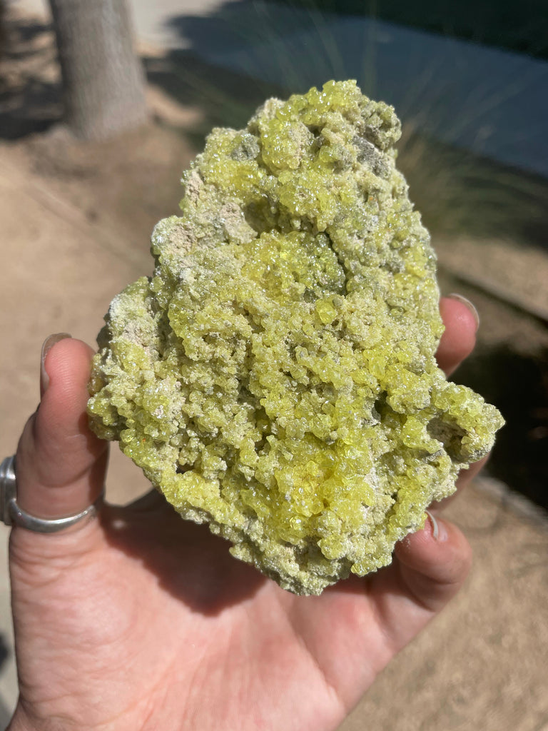 Sulfer Specimen no.1