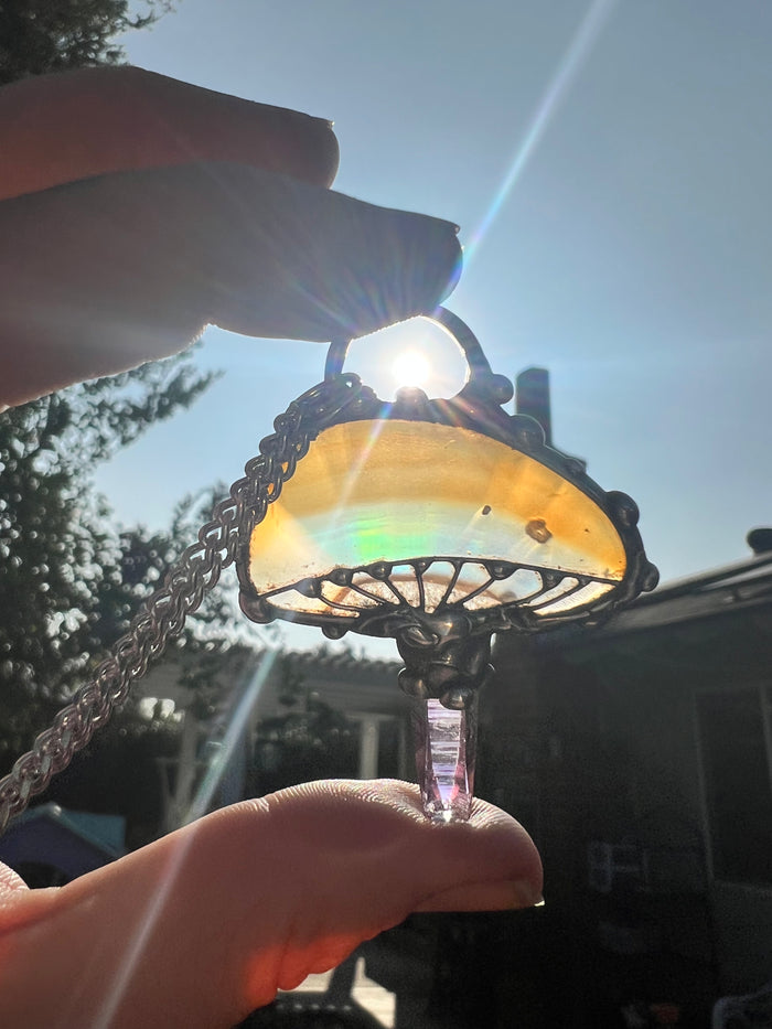 Rainbow Iris Agate & Vera Cruz mushroom pendant no.1